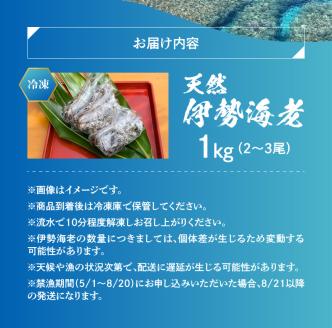 ■ エメラルドブルーの美しい海で獲れた天然伊勢海老 1kg（2～3尾）　W057-002u