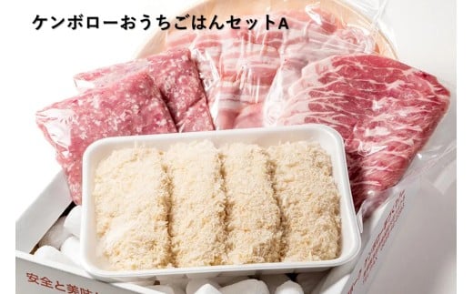 おうちごはんセットA（しゃぶしゃぶ、トンカツ、生姜焼き、豚ミンチセット） 【002_1972】