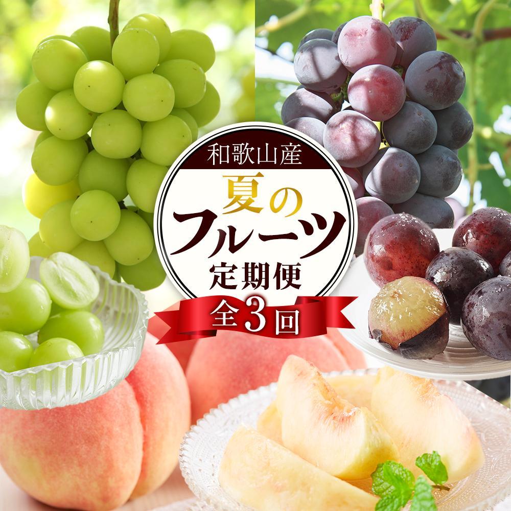 【ふるさと納税】定期便全3回 【7月・8月・9月発送】 和歌山のフルーツをお届け（桃・たねなしピオーネ・シャインマスカット）【TM180】 | フルーツ 果物 くだもの 食品 人気 おすすめ 送料無料 定期便 産地直送
