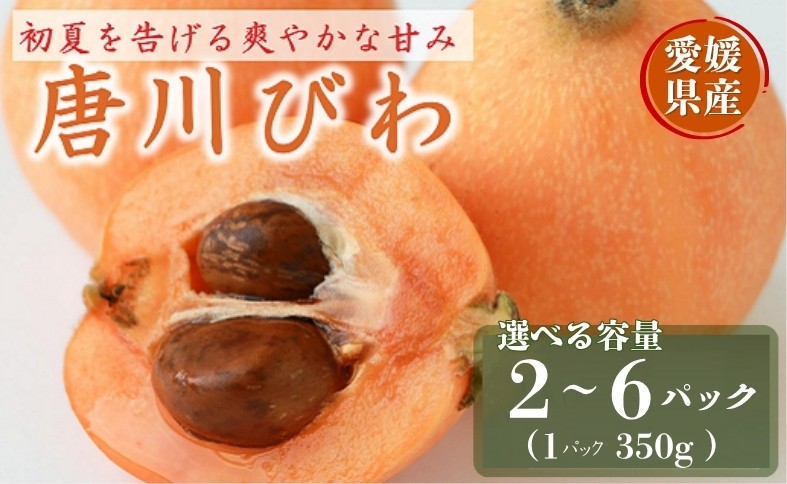 
                  びわ 唐川びわ 【選べる容量】350g×2～6パック 【2026年5月下旬以降発送】ブランド認定品 季節限定 数量限定 人気 枇杷 フルーツ 果物 旬 甘い お取り寄せ 伊予市 愛媛
                