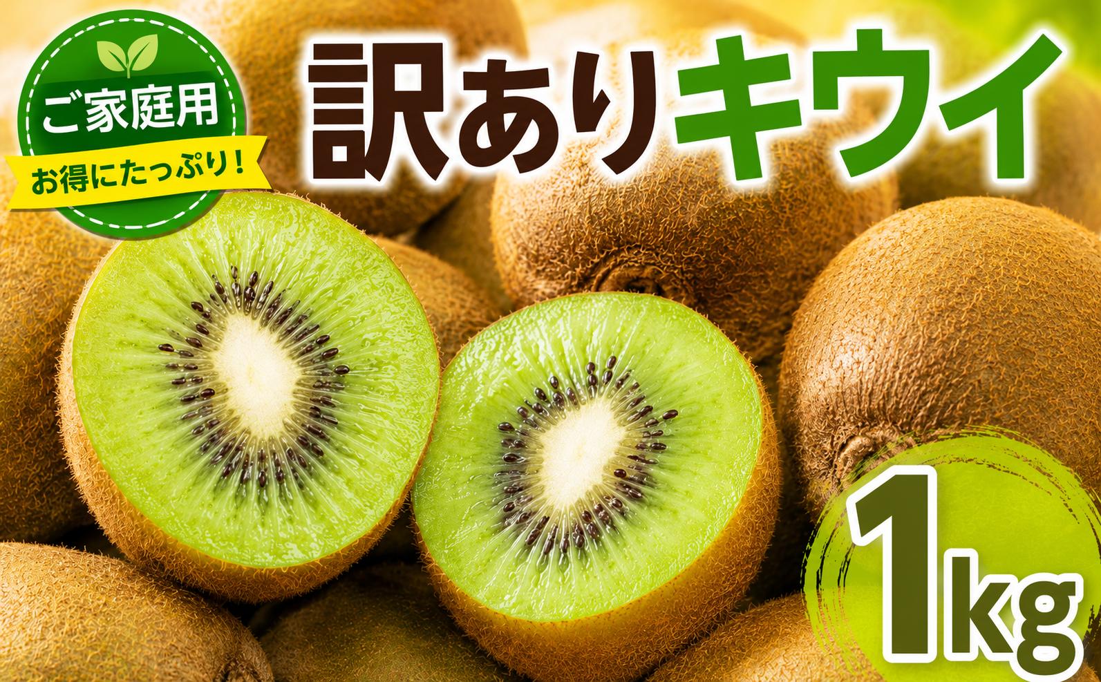 訳あり キウイフルーツ 9~12玉 1kg きうい キウイ フルーツ 果物 くだもの お取り寄せ 人気 おすすめ 徳島県 送料無料 徳島青果