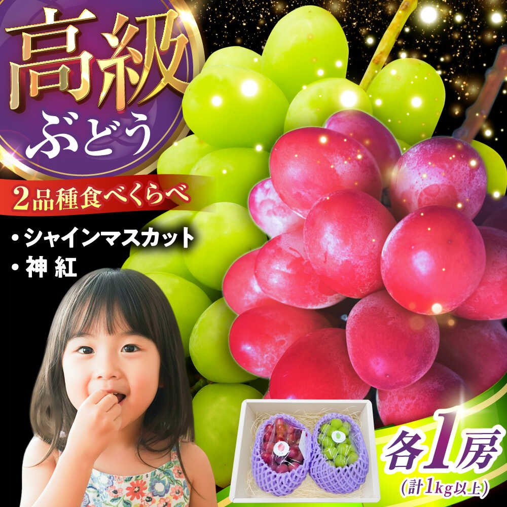 【ふるさと納税】【2026年先行予約】【8月初旬頃から順次発送】【秀品】神紅・シャインマスカット 各1房 計1kg以上 島根県雲南市/池田ぶどう農園 フルーツ 果物 ぶどう セット 食べ比べ 贈答用 　[AIAA004]