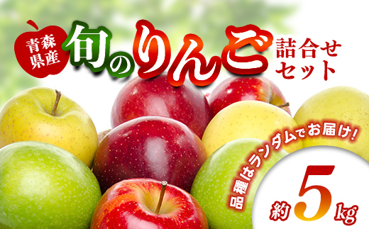 旬のりんご詰め合わせ 約5kg 【ふじさき季の会】 青森りんご リンゴ 林檎 アップル ふじ発祥の地 おすすめ 東北 青森県 藤崎町  F41-0130