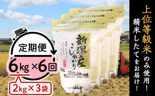 31-K66【6ヶ月連続お届け】新潟県産コシヒカリ6kg（2kg×3袋）
