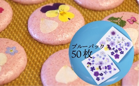 ドライ エディブルフラワー ブルーミックス 50枚　食用花 押し花加工 ケーキ トッピング デコレーション マカロン メレンゲ アイシングクッキー バレンタイン EB-0002