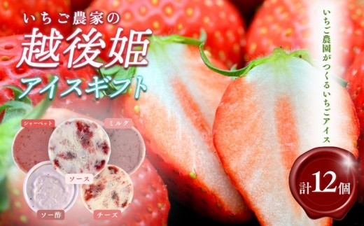 
                  アイス 越後姫アイスギフト 12個 セット 越後姫 アイスクリーム ギフト 詰め合わせ 冷凍 新潟 苺の花ことば
                