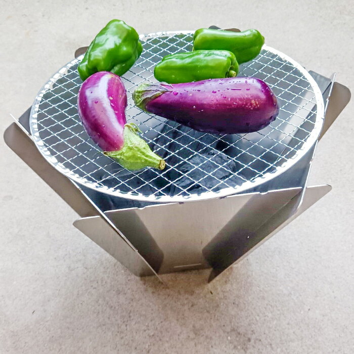 【ふるさと納税】焚き火台 アウトドア キャンプ 焚火 焚火台 ステンレス 工具不要 簡単 組み立て 文字入れ オリジナル