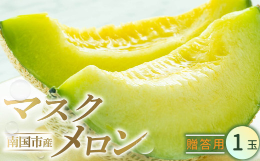 高知県南国市産／贈答用マスクメロン（1個）【メロン フルーツ くだもの デザート 高評価 厳選 高級 ギフト 贈り物 人気 おすすめ】【メロン マスクメロン フルーツ 果物 くだもの 食品 デザート 高評価 厳選 高級 ギフト 贈り物 人気 おすすめ 】