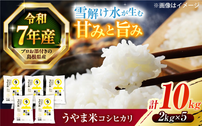 【2026年9月30日受付終了】【令和7年産】雪解け水で育った 島根県産「うやま米コシヒカリ（雲南市吉田町）」10kg(2kg×5) 島根県松江市/有限会社藤本米穀店 [ALCG012] 米
