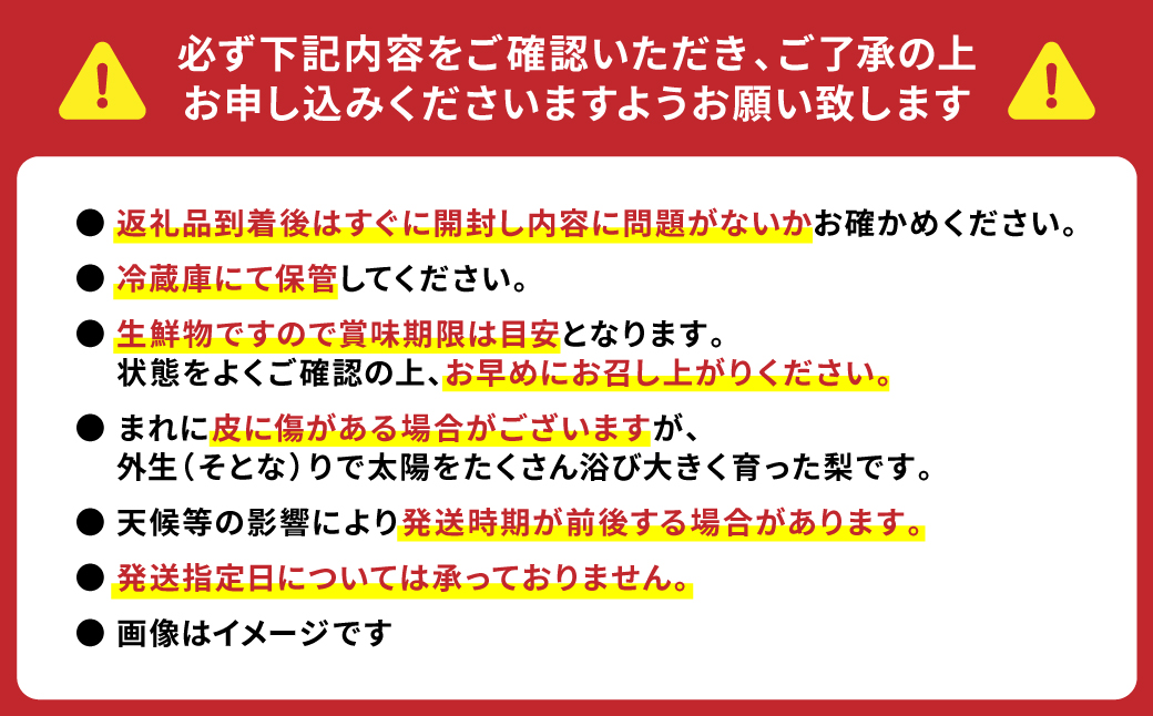 【先行予約】熊本県産　新高梨 ジャンボ梨 7玉 （約5kg）にいたか【2025年9月中旬より順次発送】