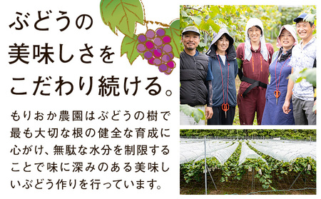 【先行予約】ぶどう ピオーネ 約1.2kg (2房) もりおか農園《9月上旬-10月上旬頃出荷》岡山県 浅口市 送料無料 ぶどう フルーツ 果物 くだもの デザート おやつ【配送不可地域あり】
