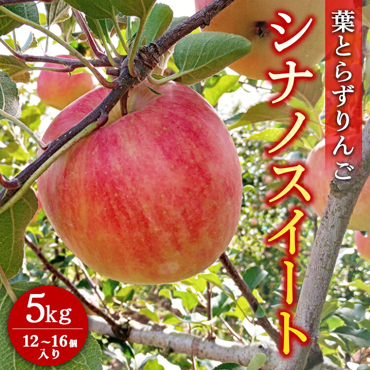 【ふるさと納税】葉とらずりんご【シナノスイート】5kg　12個～16個入り【9月30日受付終了】 ※2026年10月～発送