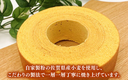 佐賀県産小麦を自家製粉！プレーンバウムクーヘン 1箱 / 佐賀県 / BAUM KUCHEN雅 [41ATAA001]