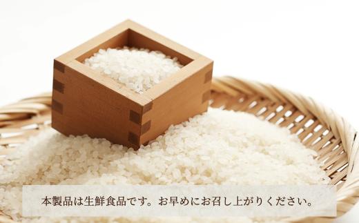 石川県産コシヒカリ 農家直送