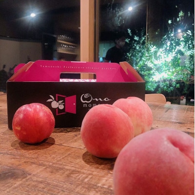 【見逃し厳禁】今逃せば1年待ち4連続TV出演『樹上完熟ブランド桃』2025年7月下旬より発送【配送不可地域：離島・北海道・沖縄県・中国・四国・九州】