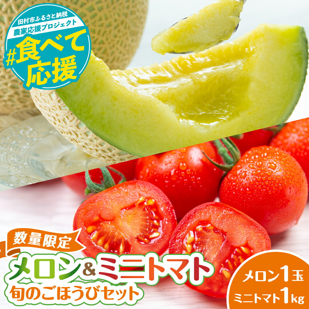 【ふるさと納税】 ＼先行予約 ／ 数量限定 メロン&ミニトマトのセット (メロン1玉 2kg前後) (ミニトマト 1kg) ネット系メロン サンチェリー 品種おまかせ 果物 フルーツ ミニトマト夏野菜 熱中症対策 農家 農家直送 家庭用 福島県 田村市 田村 よしのや農園