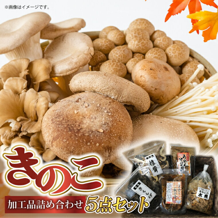 【ふるさと納税】きのこ加工品詰め合わせ5点セット【配送不可地域：離島】 (AU003)