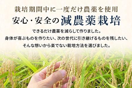 令和7年産新米 白米 5kg 栽培期間出来るだけ農薬を減らして作った「かすみ米」 茨城県産 コシヒカリ 米 お米 ご飯 ごはん 低農薬 しめじ菌床活用 甘み豊か 粘土質土壌育ち 健康志向 自然栽培 産