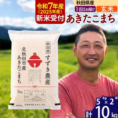 ふるさと納税 北秋田市 R7年産 新米受付 秋田県産 あきたこまち 10kg【玄米】1回のみ|szap-20601