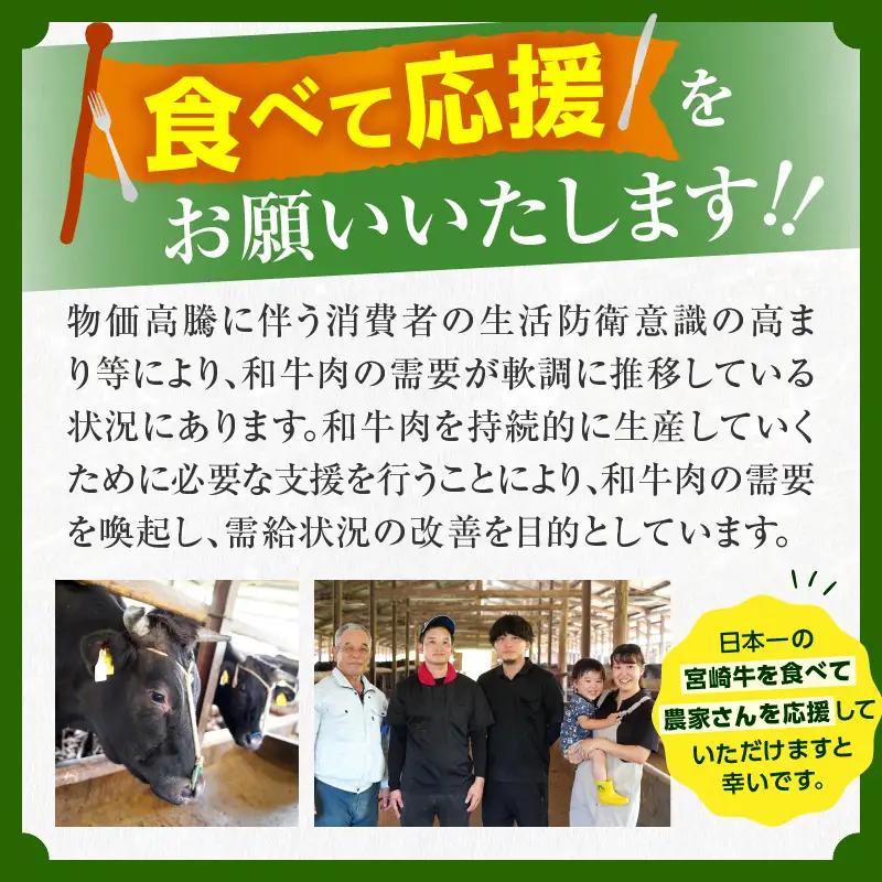 【令和8年8月配送】【畜産農家応援】宮崎牛 ロースステーキ (250g×2枚) 500g_CC66-25-08