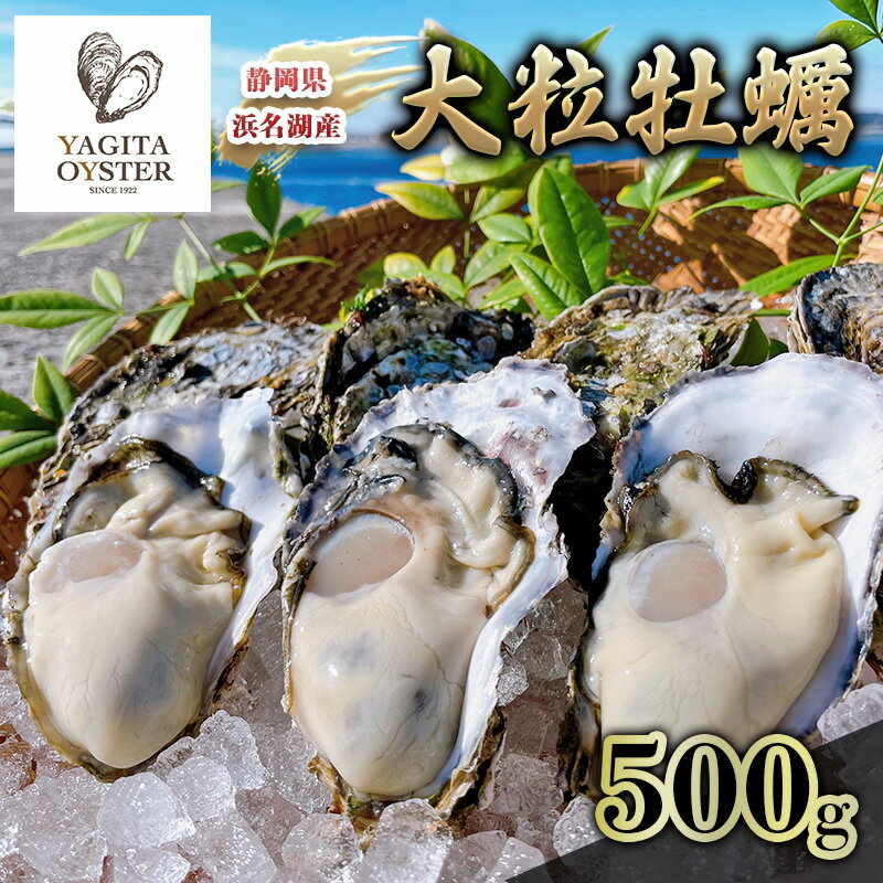 【ふるさと納税】【2026年1月より順次発送】浜名湖産かき大粒むき身500g（加熱用）先行予約 牡蠣 海鮮 魚介 国産 浜名湖産 貝付き 生牡蠣 焼き牡蠣 蒸し牡蠣 冷蔵 産地直送　お届け：2026年1月中旬～2026年3月下旬まで