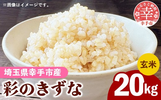 令和8年産【彩のきずな】玄米20kg 色彩選別済 Brown Rice - お米 米 ごはん 玄米 20kg 埼玉県 幸手市