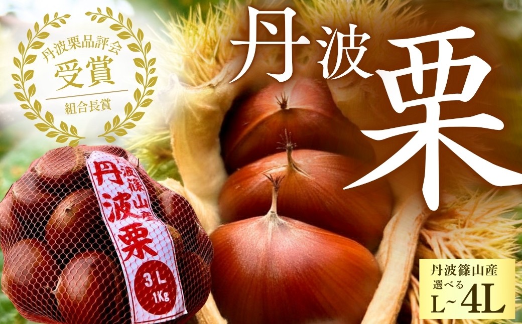 
                  〈品評会受賞〉丹波栗 選べる 〈4L 3L 2L L お試し混載 熟成栗〉 【低温追熟】安心安全 レシピ付き  兵庫県丹波篠山産 クリ くり 栗ご飯 栗きんとん 
                