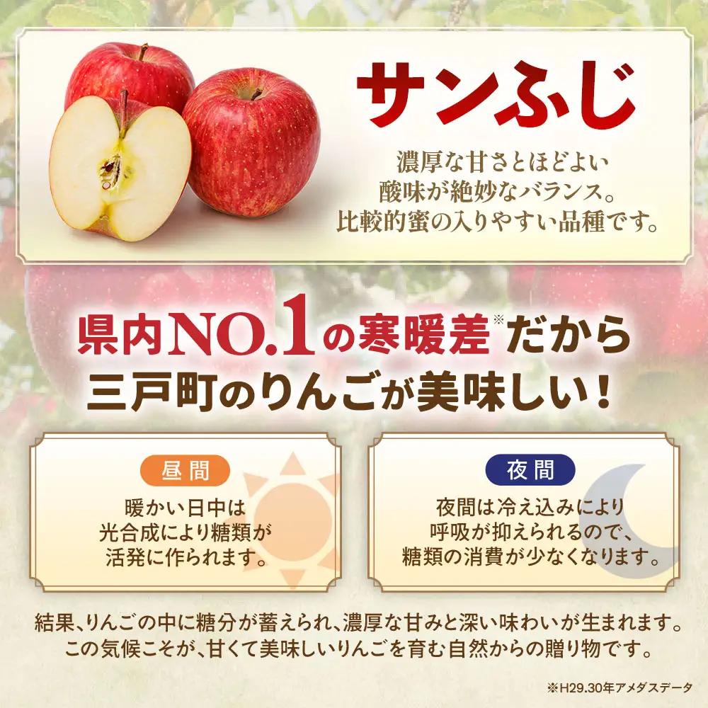 青森県産りんご サンふじ 約5kg 11月下旬～ りんご
