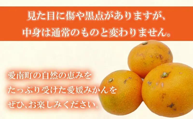 【愛媛みかん】 訳あり 10kg みかん