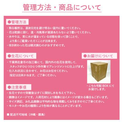 ふるさと納税 佐倉市 生花お任せアレンジメントL ピンク系 お祝いやお誕生日におすすめ |  | 03