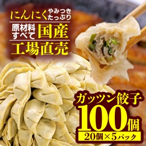 にんにく ぎょうざ 100個 小分け 冷凍 国産 ぎょうざ