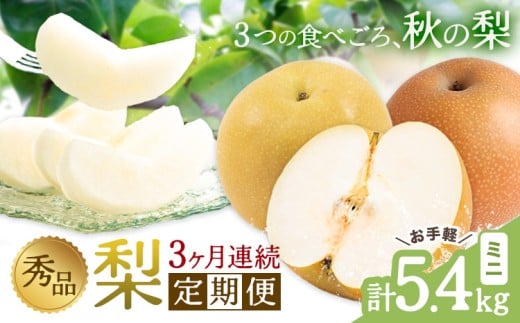 秀品 3ヶ月連続 梨の定期便 ミニ 計5.4kg 日本フルーツ株式会社《8月上旬-10月末頃出荷》熊本県 荒尾市  梨 なし 豊水梨 秋月梨 新高梨 果物 フルーツ 定期便