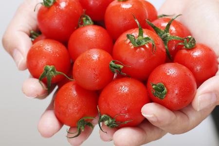 フルティカトマトジャム 140g×4本 合計560g