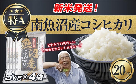 
                  【令和8年産　新米予約】新潟県 南魚沼産 コシヒカリ お米 5kg×4袋 計 20kg 精米済み（お米の美味しい炊き方ガイド付き） お米 こめ 白米 こしひかり 食品 人気 おすすめ 魚沼 南魚沼 南魚沼市 新潟県産 新潟県 精米 産直 産地直送【2026年10月中旬より1ヶ月以内に順次発送予定】
                