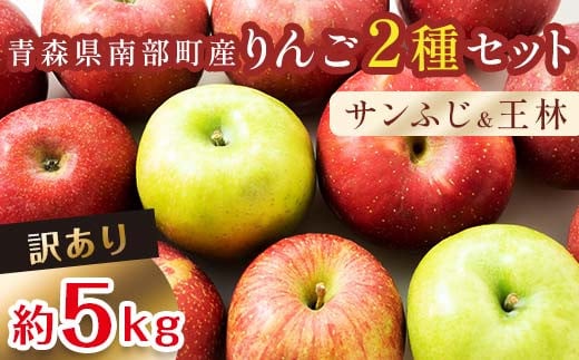 【訳あり】 青森産 完熟 りんご 約5kg サンふじ 王林 2種セット （中～大玉） 【誠果園】 青森りんご リンゴ 林檎 アップル あおもり 青森 青森県 南部町 三戸 南部 澁川賞受賞 果物 くだもの フルーツ 家庭用 わけあり ワケアリ 訳アリ 規格外品 F21U-226