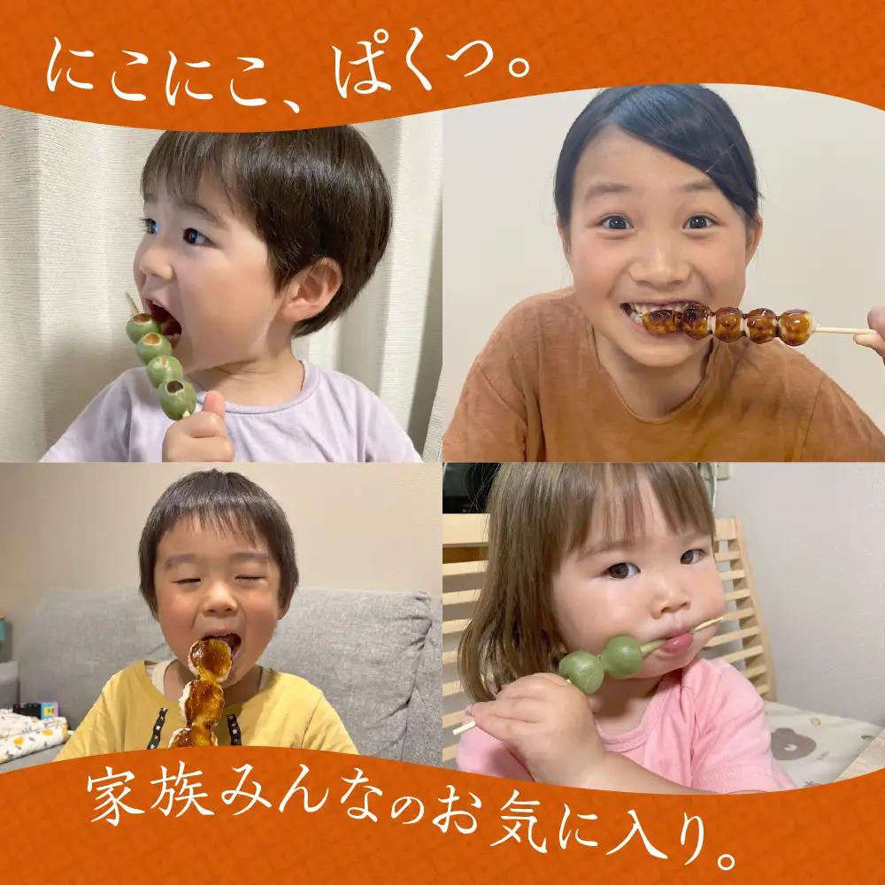 国産米100％よもぎ団子 18本｜団子