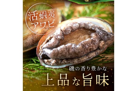 やわらか！絶品！アワビ酒蒸し 小サイズ5枚入り