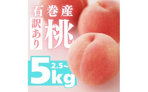 ≪先行予約 2026年発送≫ 石巻産桃 2.5kg 桃 もも モモ フルーツ 桃 もも モモ 果物 白鳳 日川白鳳 清水白桃 川中島白桃 なつっこ 数量限定 期間限定 旬 人気 おすすめ 甘い 果物 美味しい 訳あり わけあり 2kg 3kg 5kg愛知県 豊橋市