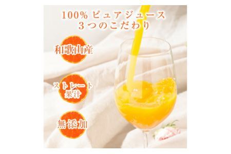 伊藤農園 100%ピュアみかんジュース大瓶750ml×9本セット(B636-2)