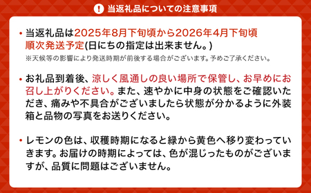 璃の香（りのか） 約3kg 10～15玉 【吉田レモニー】【2024年8月下旬～2025年1月下旬発送】檸檬 レモン れもん