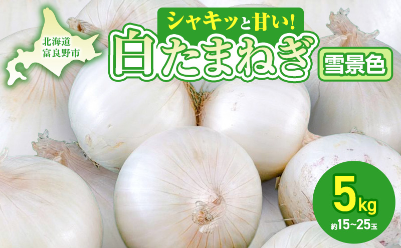 【2026年夏発送】富良野産 白玉ねぎ 雪景色 約5kg （約15～25玉）新玉ねぎ 野菜 甘い 新鮮 直送 玉ねぎ 玉葱 サラダ 北海道 富良野 幕田農園