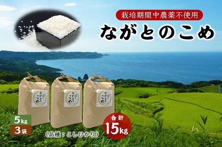 (1366)ながとのこめ こしひかり 玄米  5kg×3袋 合計15kg コシヒカリ 長門市 令和5年度産