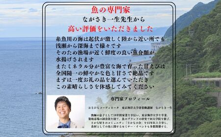 南蛮エビ 日本海直送鮮度抜群！糸魚川産『甘えび』250g×2パック  甘くとろける格別の味  際立つ甘さと鮮やかさ【プロも太鼓判！】
