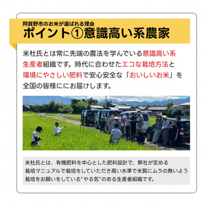 【令和7年産】3ヶ月定期便 特別栽培米 新之助 4kg (2kg×2袋)×3回 米杜氏 壱成  白米 精米 大粒 つや 光沢 弾力 芳醇 新潟県 米 こめ コメ 1H42046