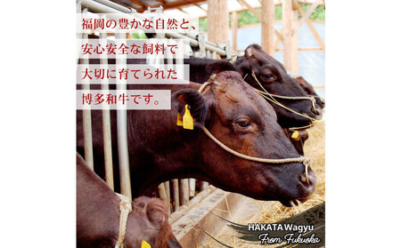 博多和牛　肩ローススライス　定期便全12回 約6.6kg（約550g×12回）