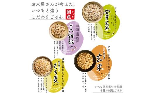雑穀ごはん アソートセット 4種 160g 72個 十六雑穀 発芽玄米 玄米 もち麦 パックごはん パックご飯 ごはんパック ご飯パック パックライス パック 16雑穀 雑穀 米 ごはん ご飯 こめ 