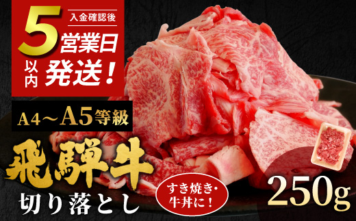 
                  【発送時期が選べる】 飛騨牛 A4~A5等級 切り落とし 250g 岐阜県産 A4 A5 すき焼き 牛丼 炒め物 おかず 肉じゃが カレー 黒毛和牛 牛肉 牛 国産 お取り寄せ ごちそう 自宅用 部位おまかせ 和牛 訳あり 小分け 最短発送 肉のひぐち
                