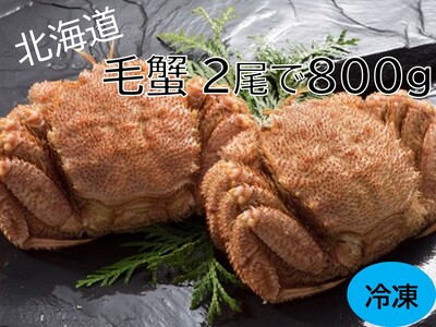 活ゆで毛蟹（2尾×400ｇ）計800g【冷凍】　今なら100ｇ増量中 カニ 毛ガニ 蟹 北海道かに 北海道カニ 国産カニ かに 毛蟹 冷凍かに