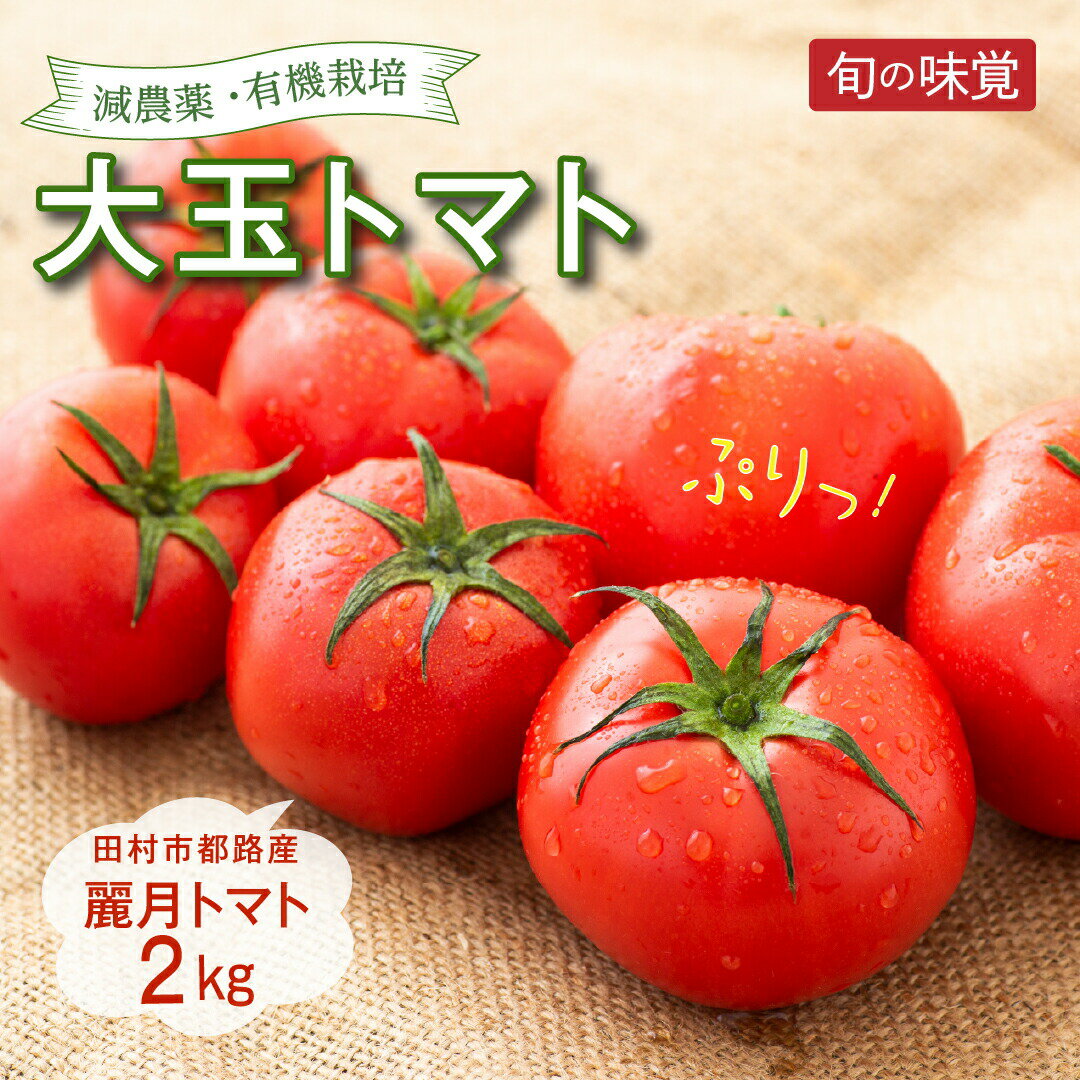 【ふるさと納税】大玉トマト 2kg トマト 8月上旬～順次発送 野菜 減農薬 有機栽培 麗月 農家直送 新鮮 2キロ れいげつ とまと おすすめ おいしい 福島県 田村市 田村 自然農園リリバリ