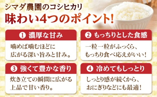 【令和7年産】福井県産こしひかり 300g(約2合) × 12パック / 米 精米 お米 小浜市 / シマダ農園 [BFAV002]